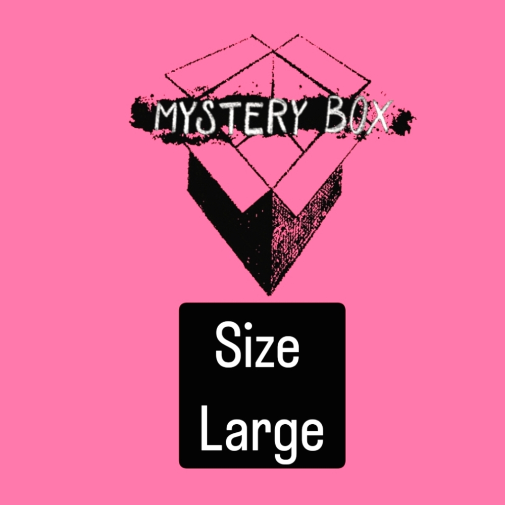 Mystery Box of Clothing Size Large